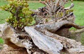 Boutique Hotel Ileas Village - Foto 19