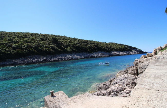 Oasis of Paradise - Photo 10