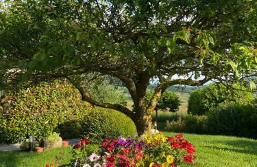 Agriturismo Bordigaie - Photo 9