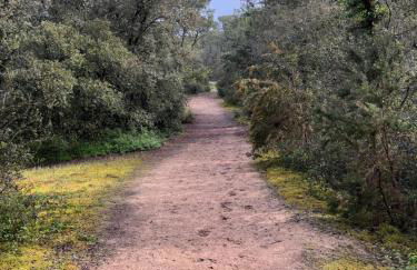 Villa les Tonnelles 1 à 800m de la plage et 500m de la forêt - Foto 6