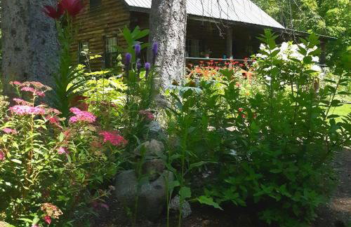 Deer Valley Retreat, Lovely Log Cabin with Fireplace & Garden Views- Perfect for a Relaxing Getaway! - Foto 11