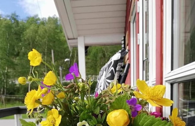 Levajok Fjellstue Adventures - Foto 19