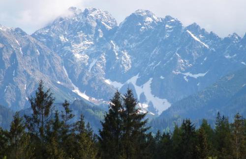 Apartamenty w Jurgowie Świstokówka - Foto 61