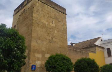 Lujoso Apartamento Los Patios de Cordoba - Foto 50