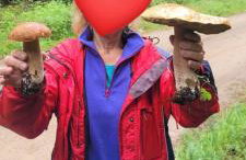 Domki Przy Lesie - Foto 46