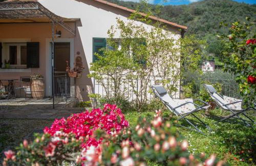 Agriturismo Villa Caterina - Foto 9