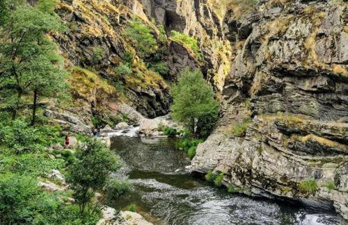 Mira Douro Valley Home - Foto 76