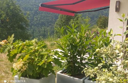 In the heart of nature with an unique view - Foto 17