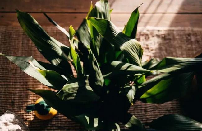 Lovely Cottage With sea Views in Selca, Croatia - Foto 69