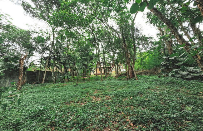 Chalé Encantador na Granja Viana - Foto 29