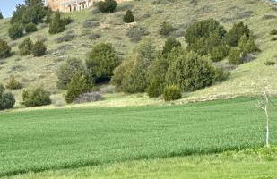 Theisen Vacation Home - Foto 7