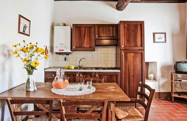 Coccinella n°6 - Foto 3