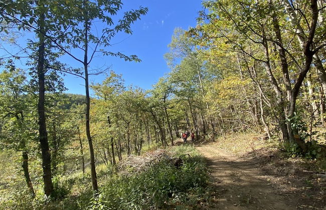 Sea View Panoramic Apartment With Terrace Wifi and Parking - Foto 36