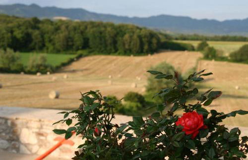 Il Nido di Gabbiano - Foto 10
