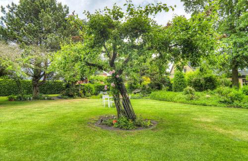 Göckes Haus Und Garten Lavendelbeet - Foto 15