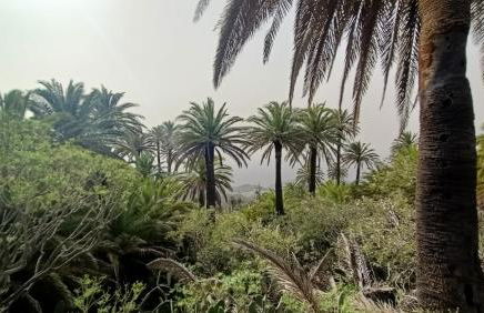 alquilaencanarias Casa La Playa La Gomera - Foto 32