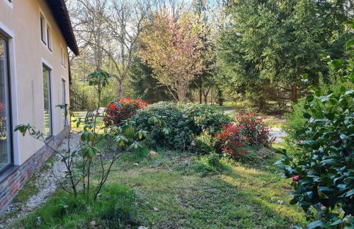 Maison isolée avec parc, étang privé et à 20 min du Zoo de Beauval - FR-1-591-309 - Foto 18