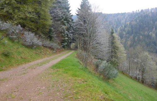 Fewo Kaspershäusle: Alleinlage mitten im Wald - Foto 12