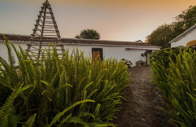 Quinta do Martelo - Photo 47