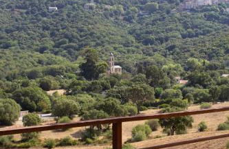 APICULTEUR - Foto 59