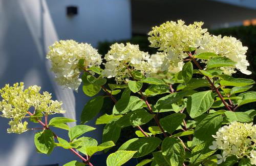 Die Bleibe - Foto 23