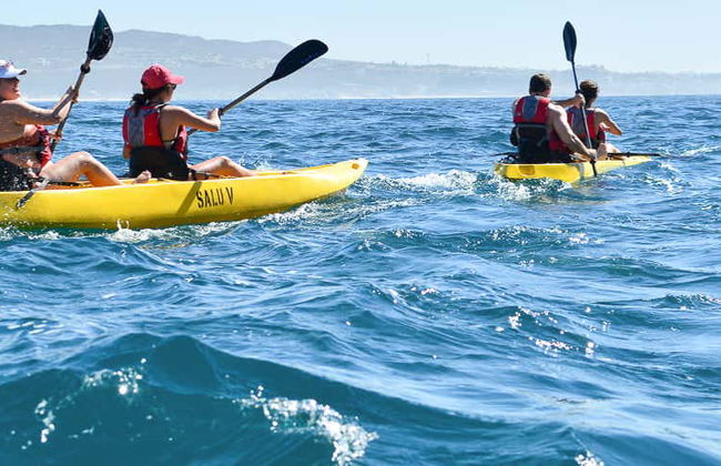 Kayak et snorkeling à Los Cabos - Photo 1