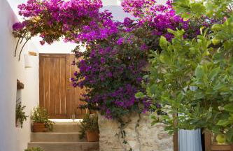 Can Pardal - Foto 15