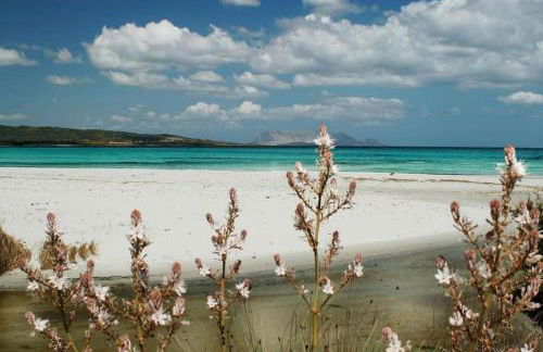 VILLA A 200 METRI DALLA SPIAGGIA - Foto 62