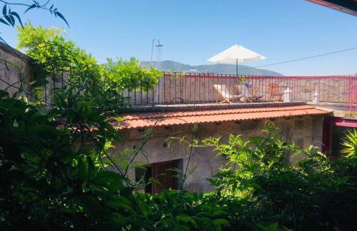 Janelas da Cabreira - Foto 46