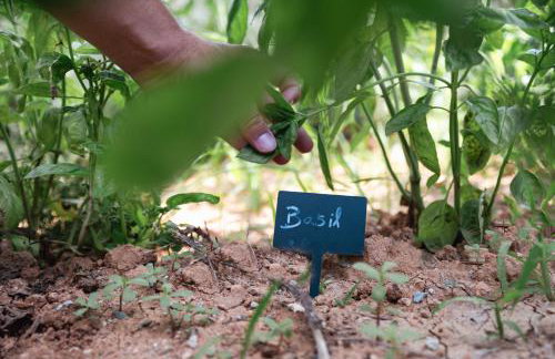 Akrolithos Luxury Suites & Spa - Foto 22