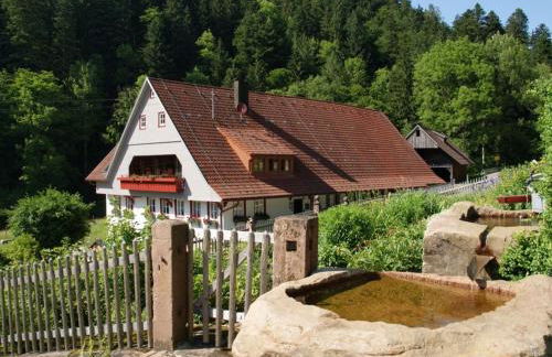 Appartement Im Hof, 36qm - Foto 1