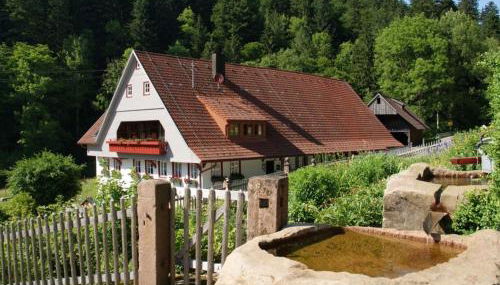 Appartement Im Hof, 36qm - Foto 1