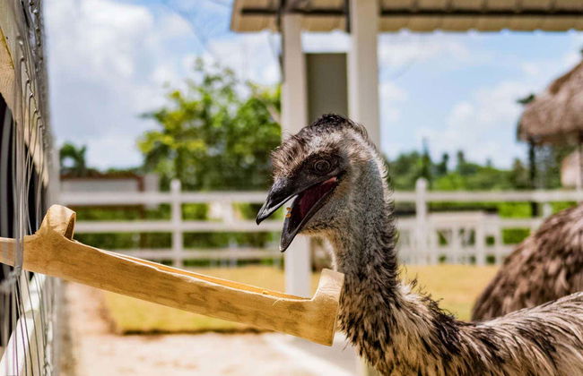 Eco Park Punta Cana Trip - Photo 5