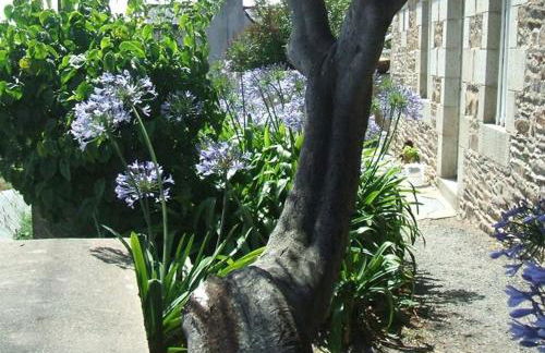 Chez Tante Jeanne - Foto 25