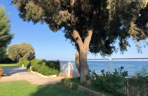 Ανεμπόδιστη Θέα με Κήπο και Πισίνα - Foto 25