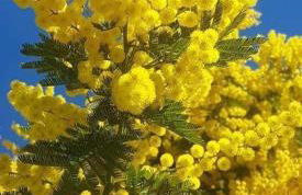 Saint-Raphael- Vue mer et Massif de l'Esterel - Foto 42