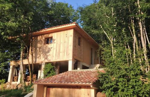 chalet sur pilotis en perigord - Foto 1