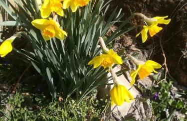 Casa in campagna oltrepo' pavese - Foto 20