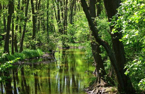 Ferien am Hegensteinbach - Foto 18