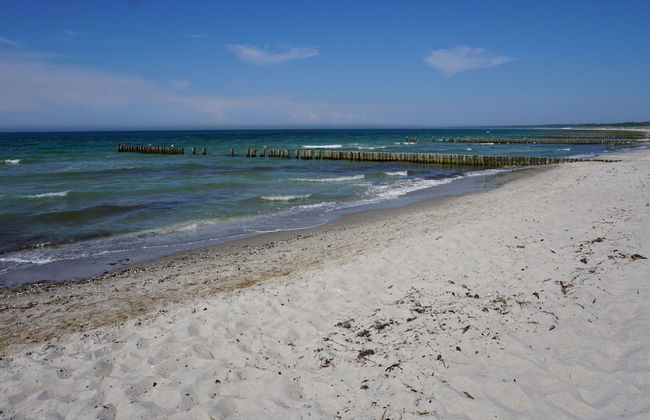 Spacious Apartment in Wieck auf dem Darb - Photo 22