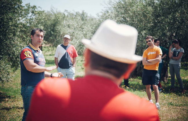 Visita di un oliveto ecologico + Degustazione di olio - Foto 6