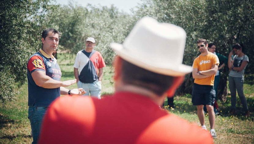 Olive Grove Tour + Olive Oil Tasting - Foto 3
