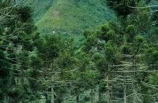 Refúgio da Montanha Brasil - Photo 35