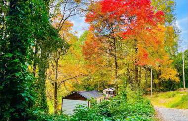 Misty Hollow Tiny Home Cottage - Foto 29