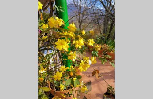 Casa Rural: La Casa Mágica de Gredos - Foto 31