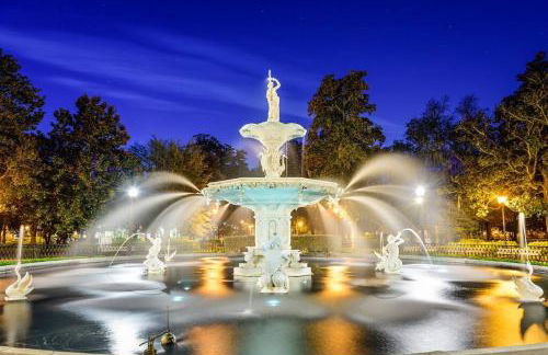 Cozy Home in Downtown close to Forsythe park - Foto 40