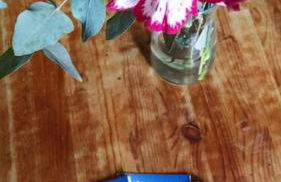 Al 35 dell'Aurora - Foto 8