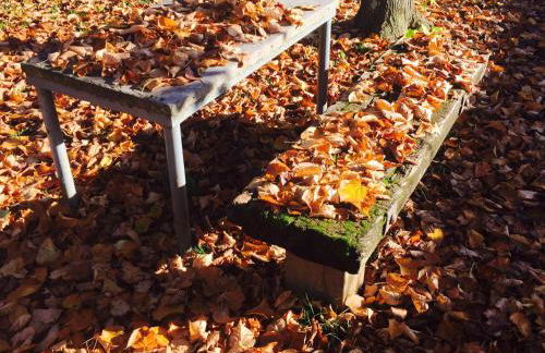 Agriturismo Il Bardellino - Foto 79