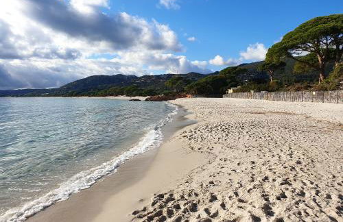 Studio pour 2 personnes à 700m de la plage de palombaggia - Foto 1