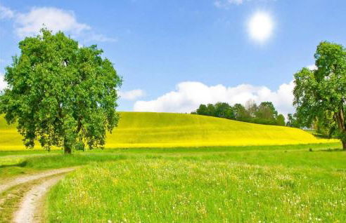 Awesome Home In Krems Iiwarderbrück - Foto 10